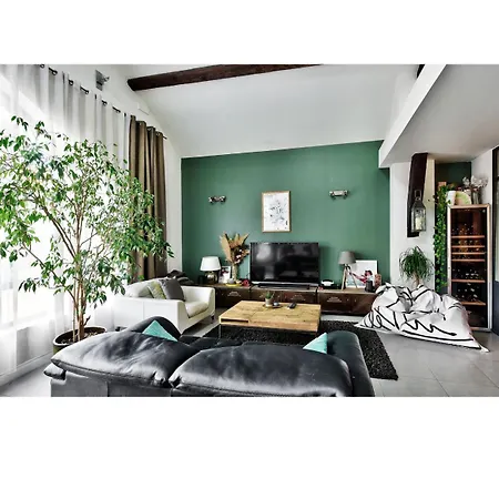 Apartment Charming Loft In Lyon *